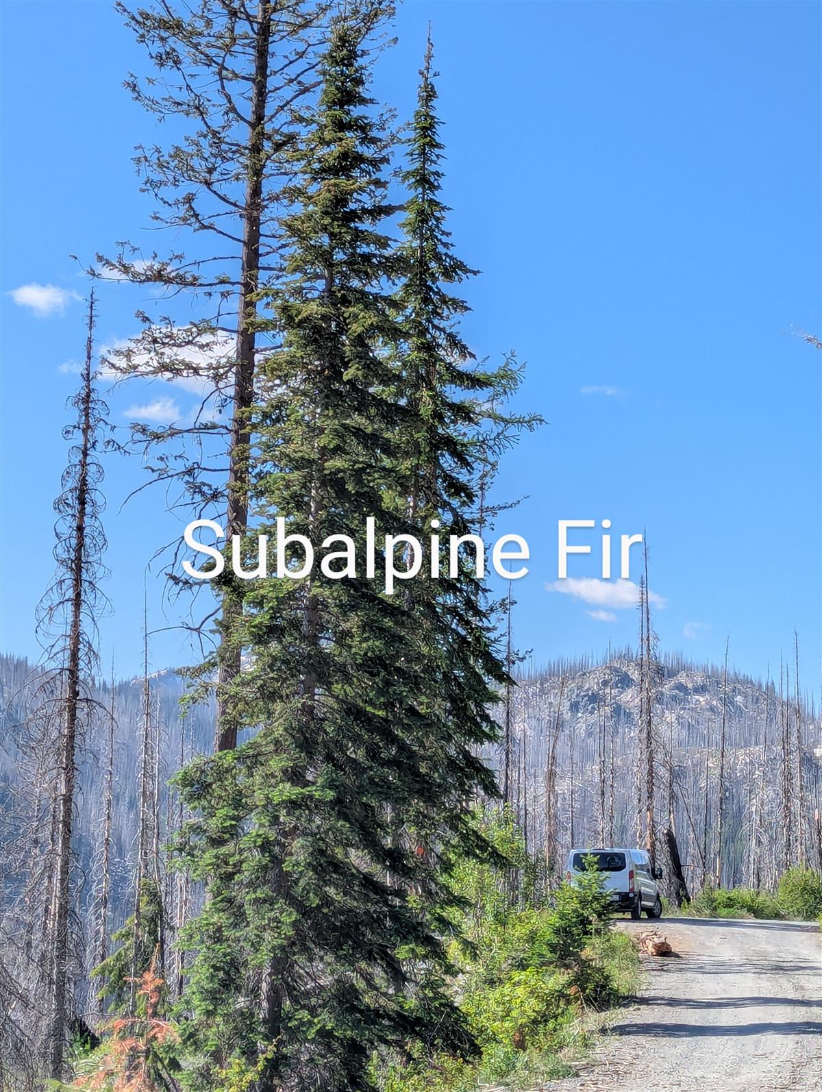 Slide60