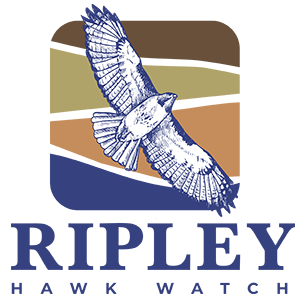 image of Ripley Hawkwatch Logo